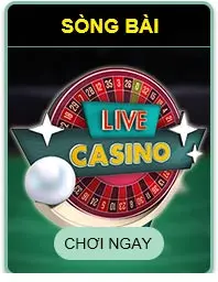 game casino king79